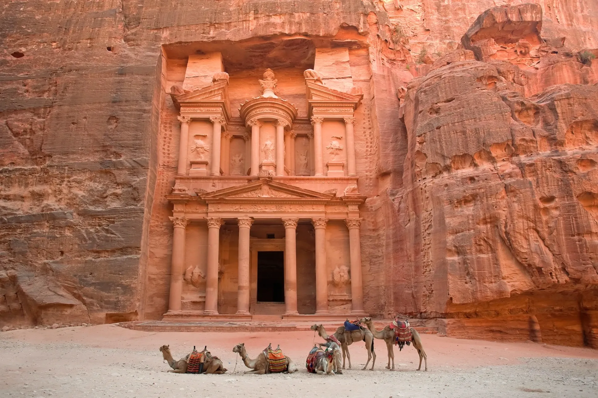 Vive toda la magia e historia de Jordania hero image